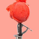 Strawberry Sorbet