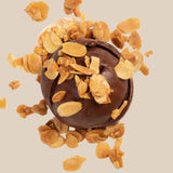 French Almonds (30gms)